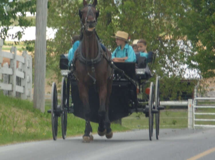 Amish Country