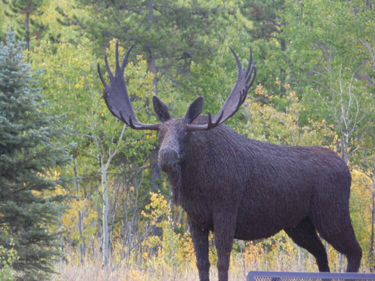 Moose Visitor Center