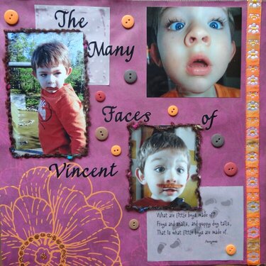 The many faces of Vincent