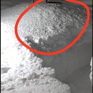 Car Lost in Snow