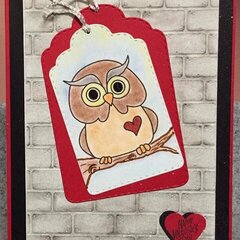 Owl Always Luv U