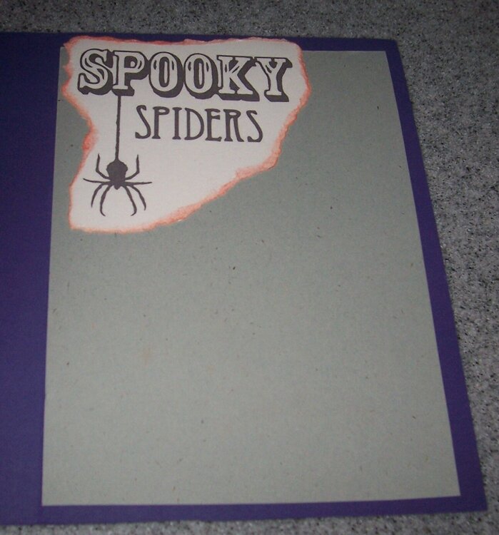 Spooky Spiders (inside)