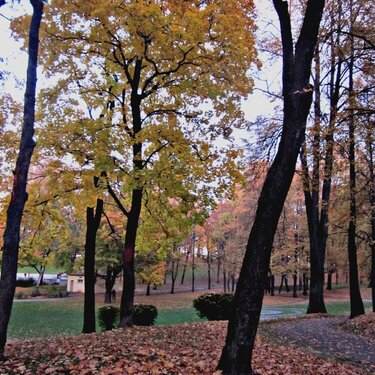 Autumn in the Park