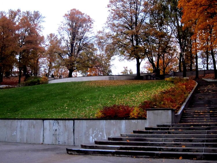 Autumn in the Park