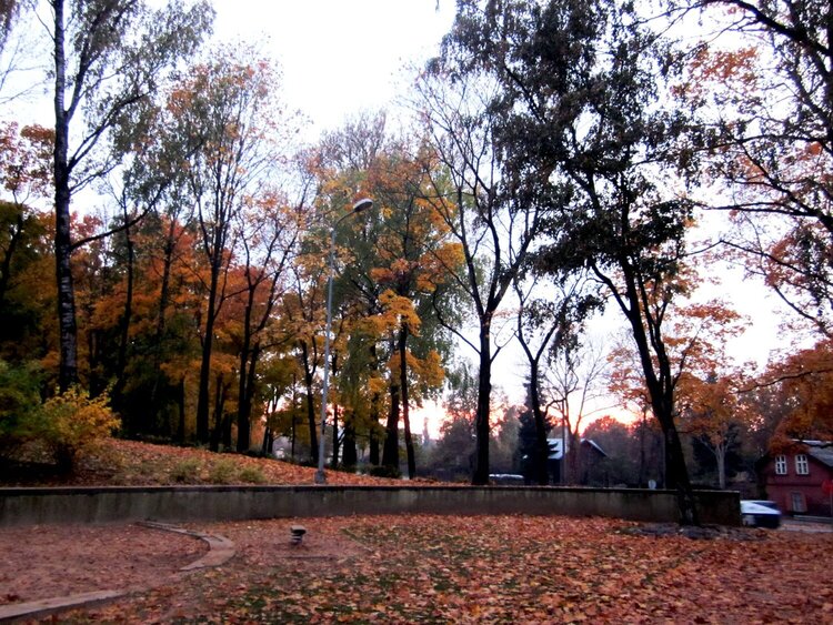 Autumn in the Park .