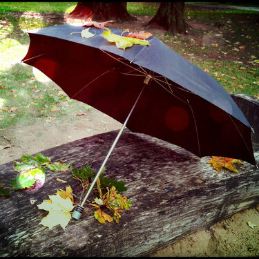 autumn.umbrella