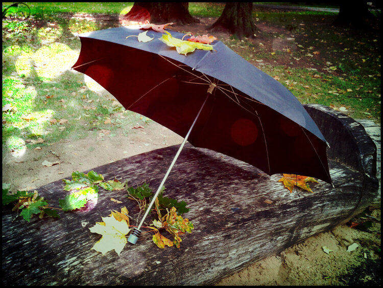 autumn.umbrella
