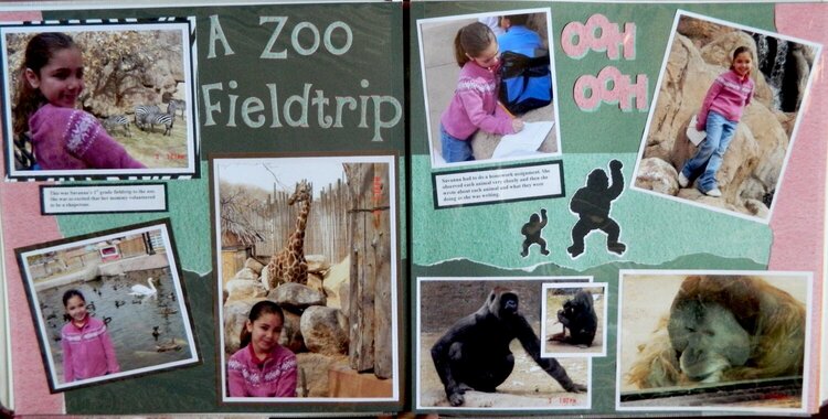 A Zoo Fieldtrip