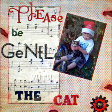 PLEASE BE GENTLE WITH THE CAT