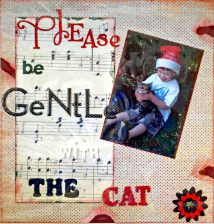 PLEASE BE GENTLE WITH THE CAT