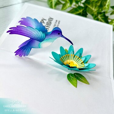 Hummingbird Popup Card