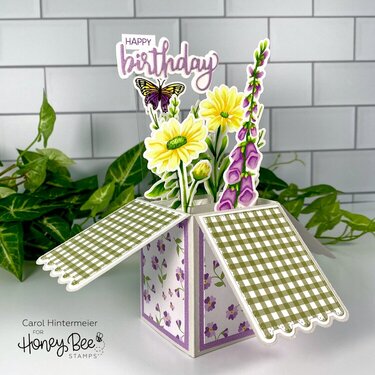 Surprise Box Birthday Card