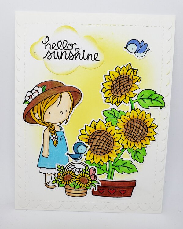 Sunflower Cutie