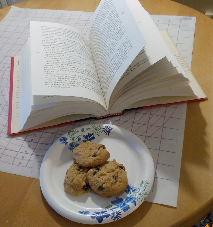 Survival Kit-A Good Book and Cookies