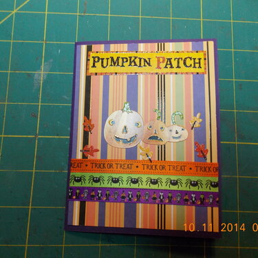Pumpkin Patch - Color