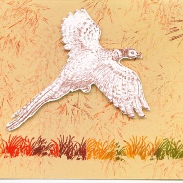 flying pheasant