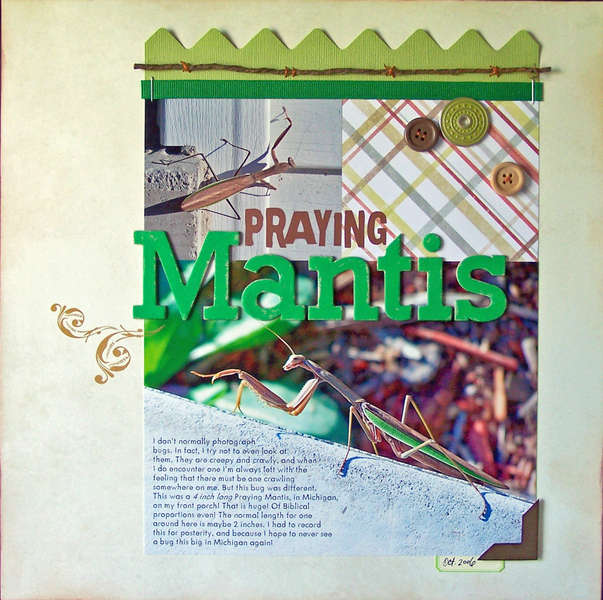 Praying Mantis **We R Memory Keepers**