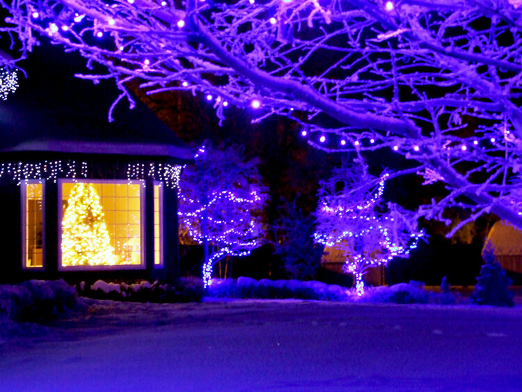 Dec 21 - Christmas Lights