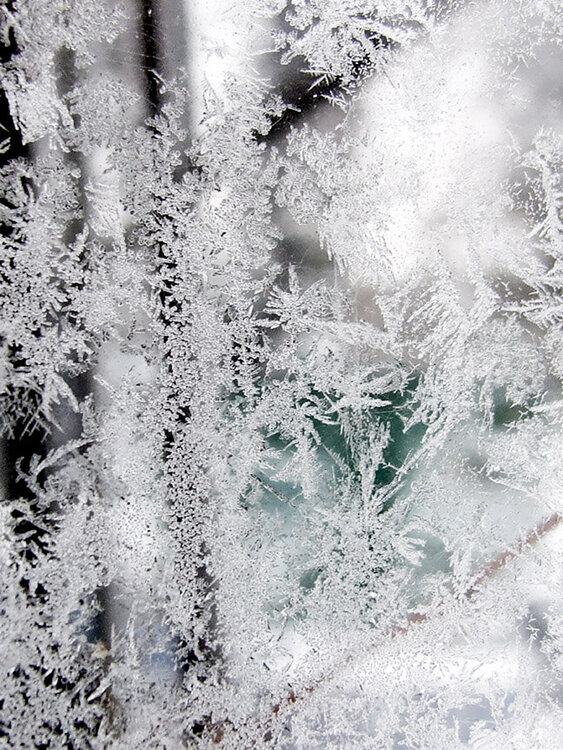 Jan 23 - Greenhouse Frost