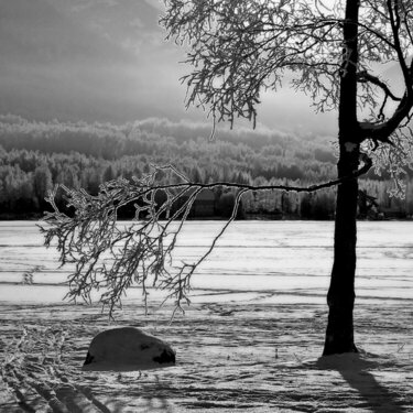 JFF ~ Mirror Lake in Black &amp; White