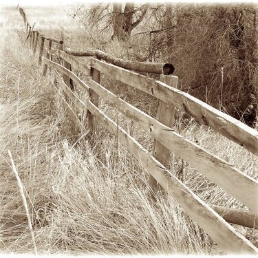 JFF ~ Old Fence along Hwy 10, Montana