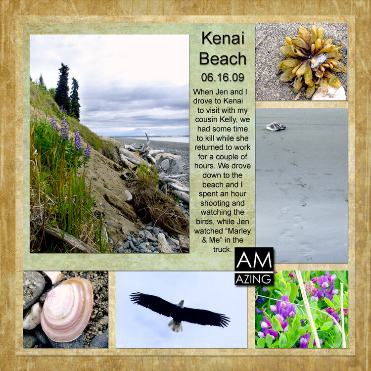 Kenai Beach