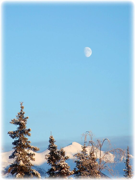 Dec 19 ~ Moonrise over the Alaska Range
