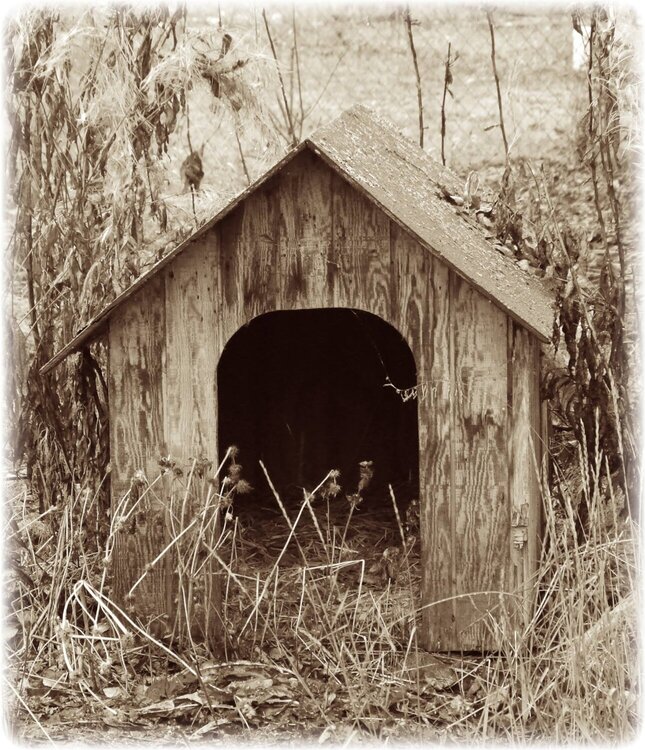 Nov 2 ~ Abandoned Dog House