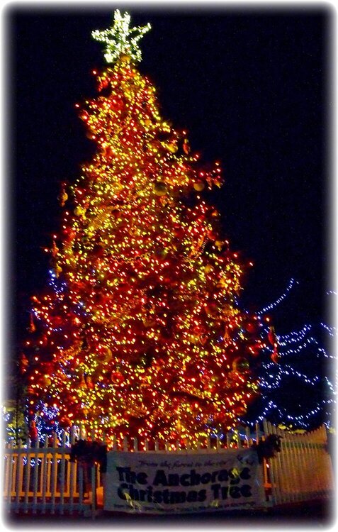 Nov 30 ~ Front of the Anchorage Christmas Tree