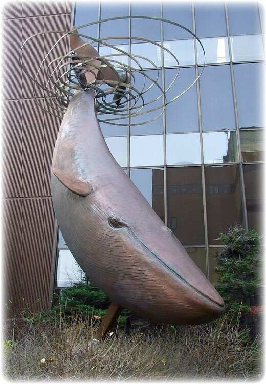 Oct 31 ~ Whale Sculpture
