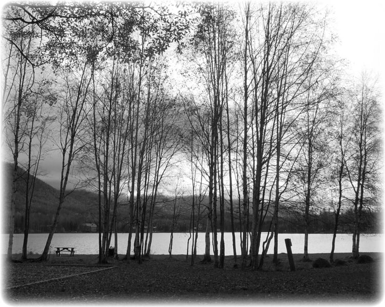 Oct 6 - Mirror Lake in B&amp;W / mini-challenge - My Camera