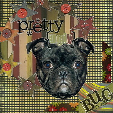 Pretty (UGLY) Pug
