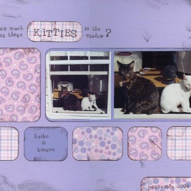 Kitties in the Window