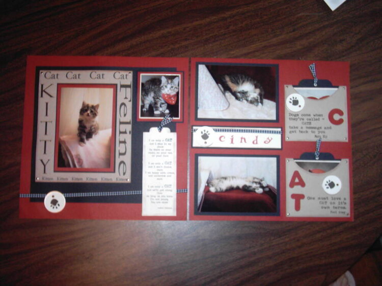pre-made layout of my kitty #1