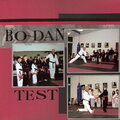 Bo-Dan Test