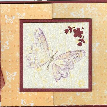 Folded butterfly card