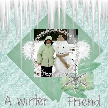 A Winter Friend