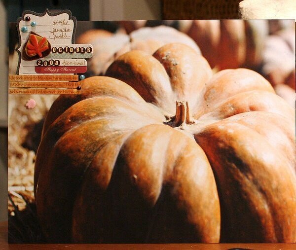 Themed Projects : pumpkin patch