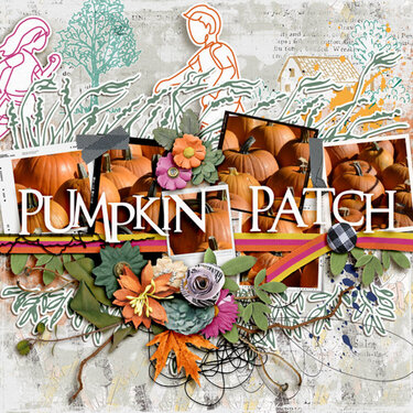 Pumpkin Patch