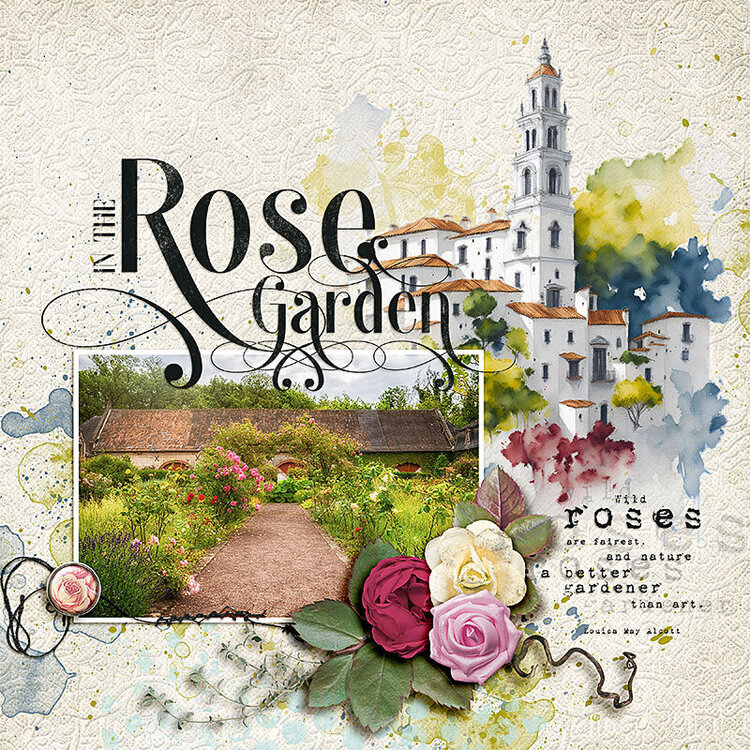 In The Rose Garden