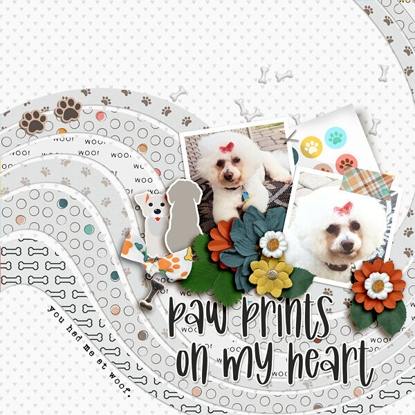 Paw Prints On My Heart