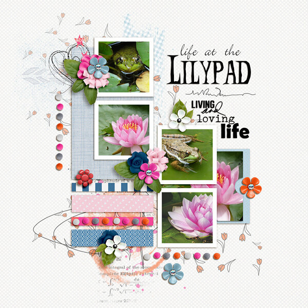 Life At The Lilypad