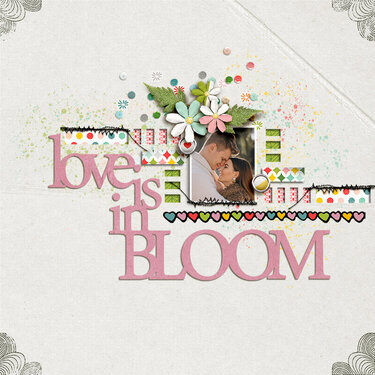 Love Is In Bloom