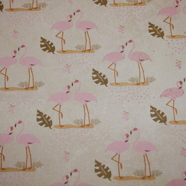 24) A Pink Flamingo (9pts)