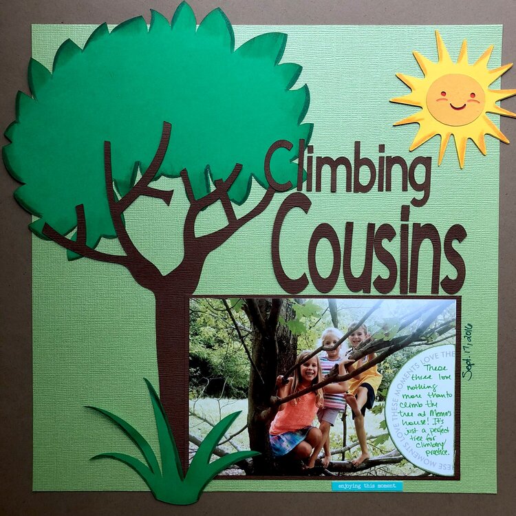 Climbing Cousins