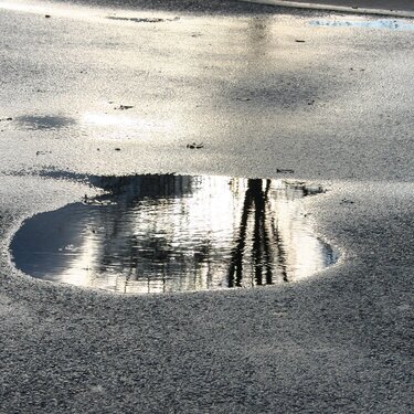 11) A Puddle {9pts.}