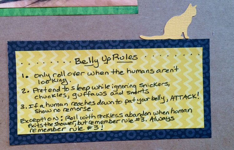 Belly Up Rules