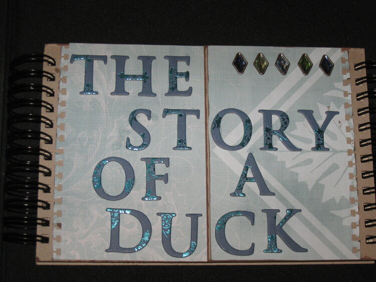 The Story of a Duck