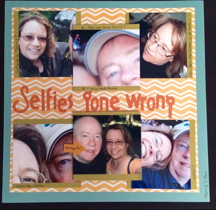 Selfies Gone Wrong