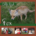 2005 - Little Red Fox 1